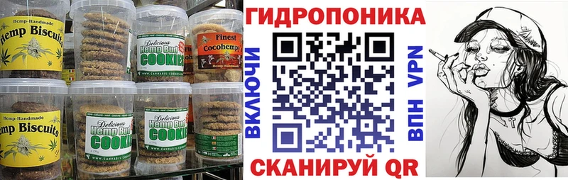 Купить закладки  Кандалакша  Cannafood марихуана 