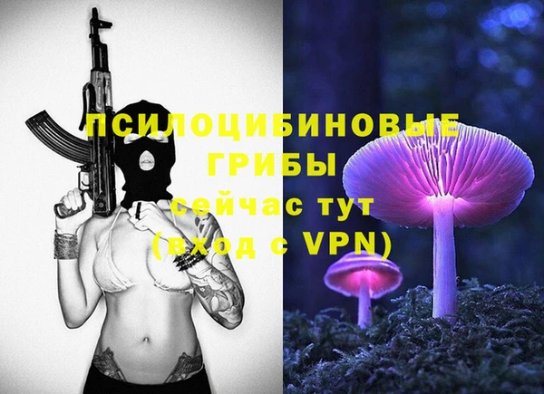 дживик Волосово