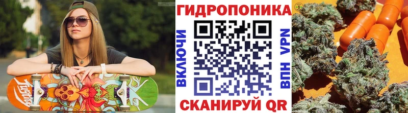 Купить закладки  Кандалакша  Конопля OG Kush 